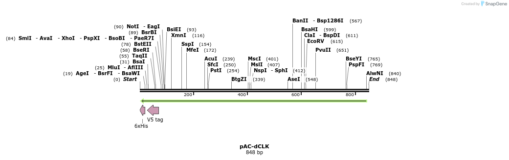 42608_map