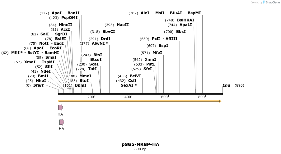 42609_map