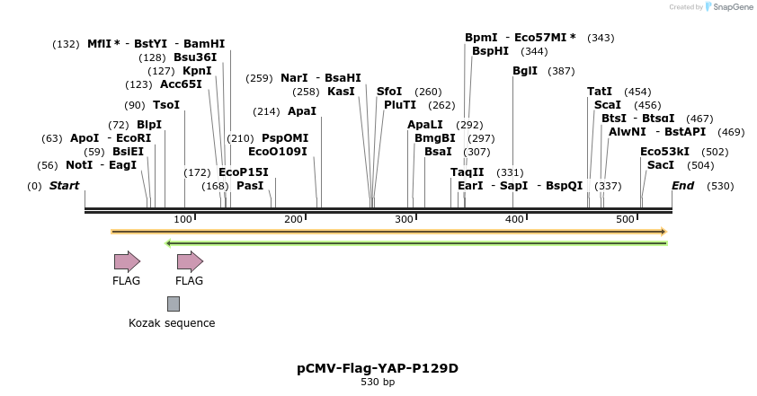42614_map