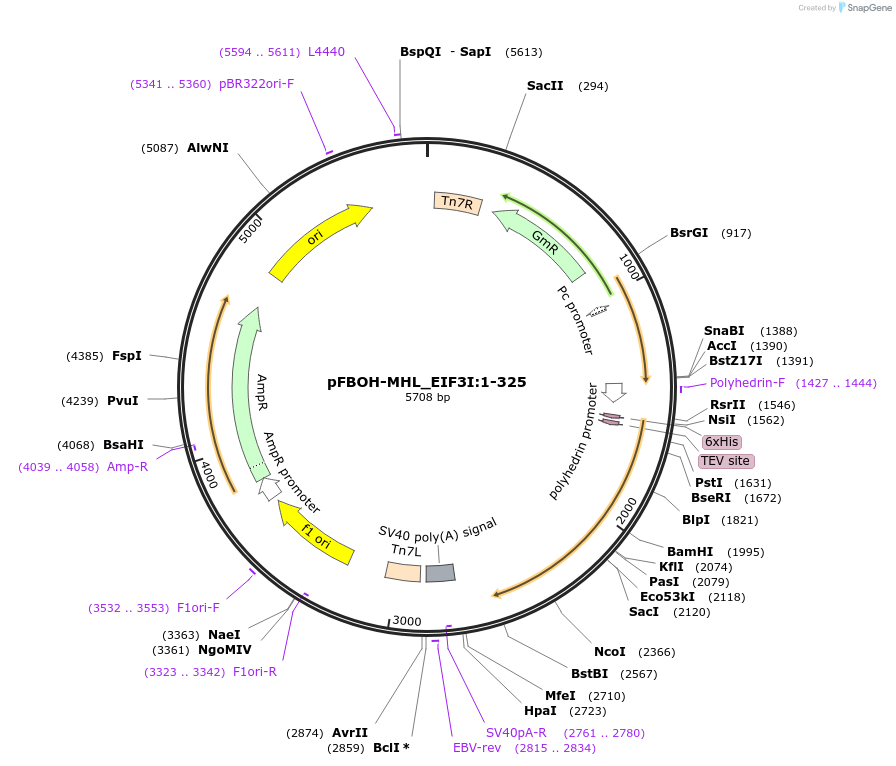 426147_map