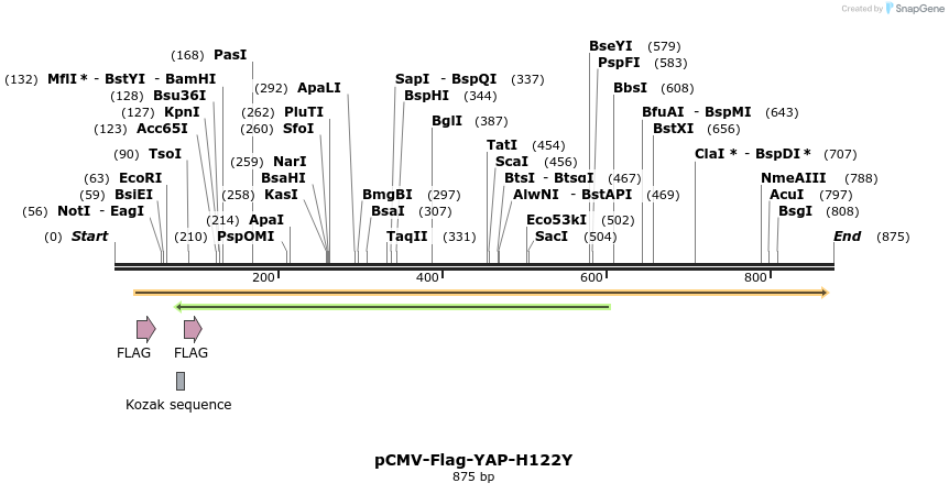42618_map