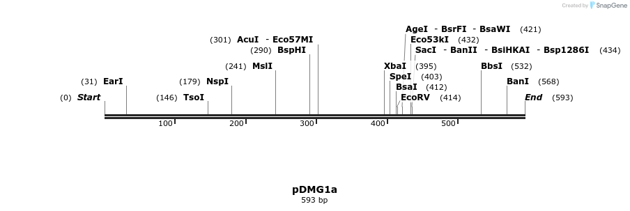 42629_map