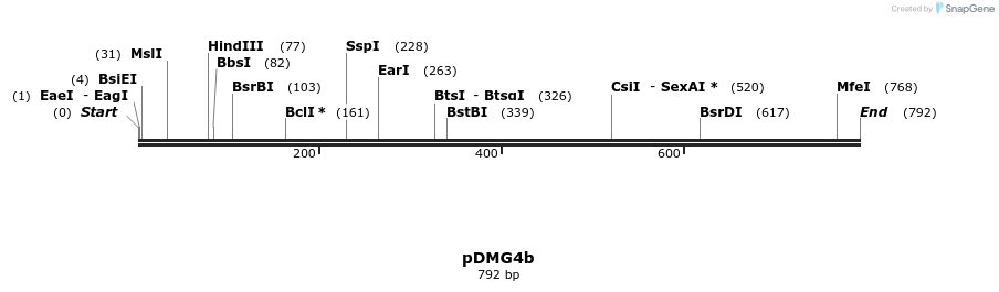 42631_map