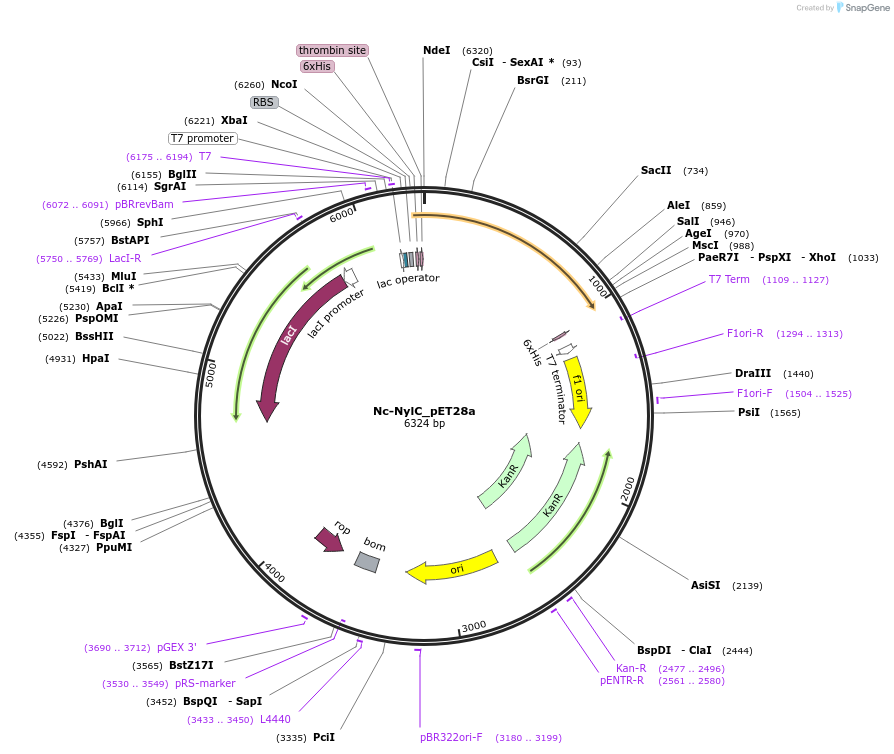426312_map
