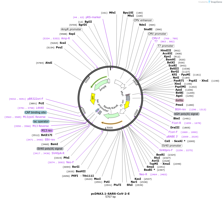 426319_map