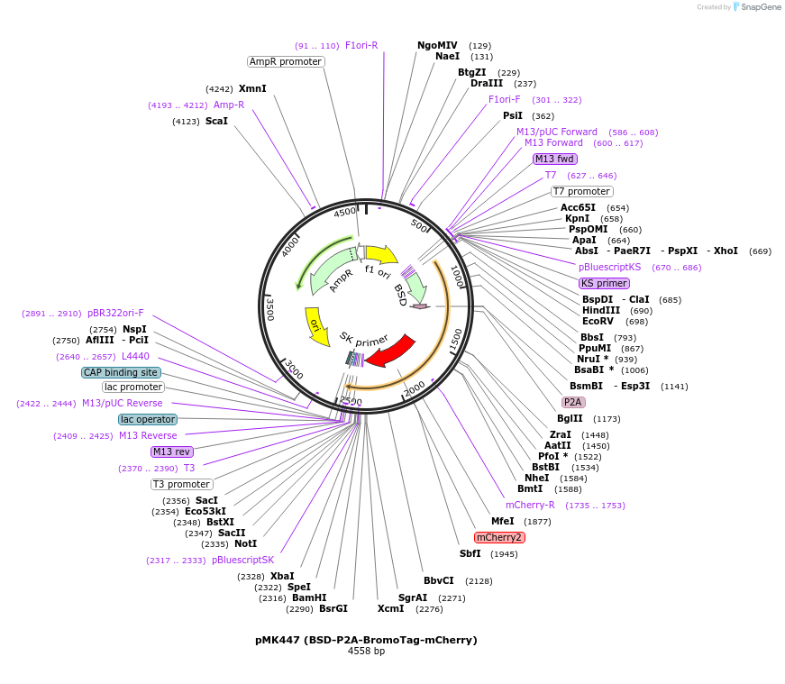 426340_map