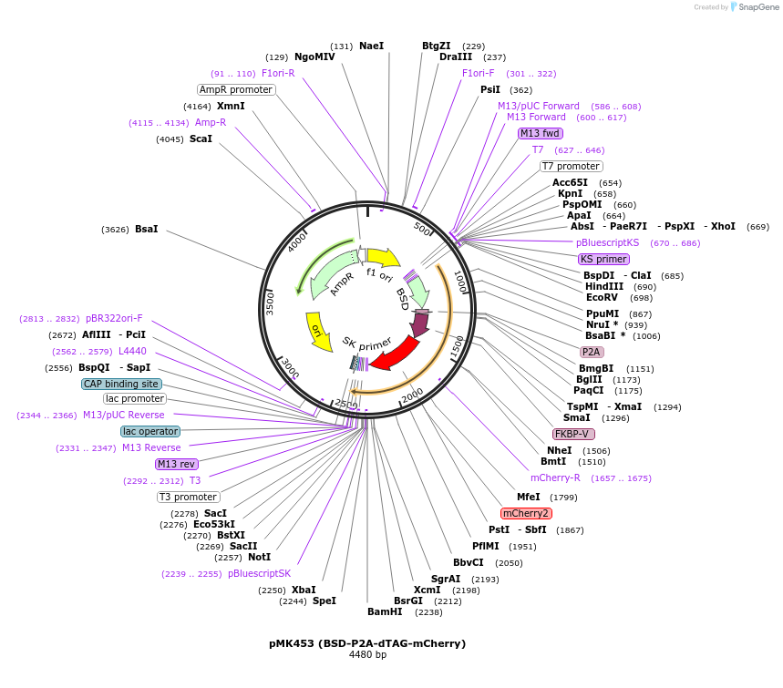 426354_map
