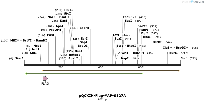 42636_map