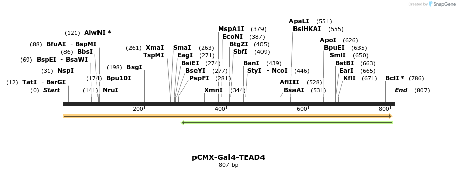 42642_map