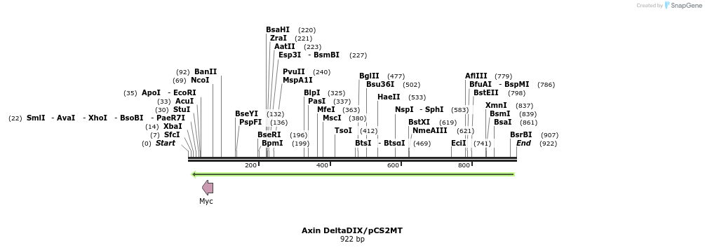 42653_map