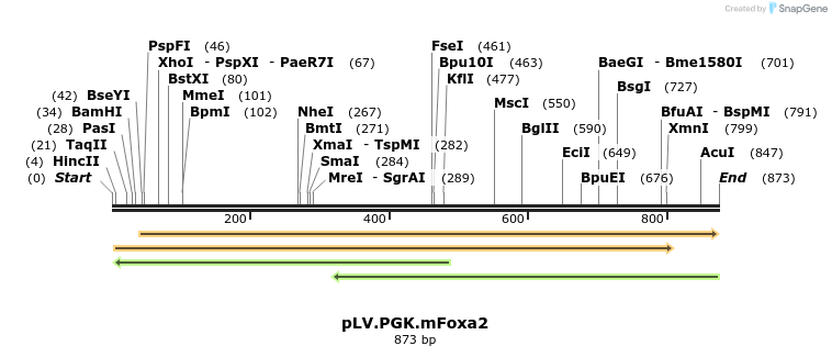 42658_map