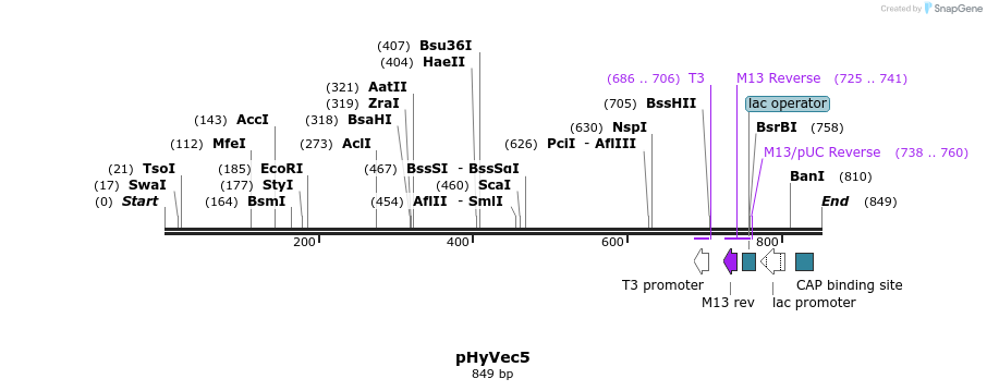42663_map