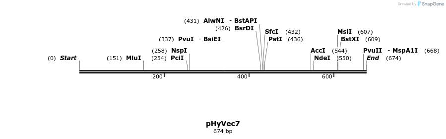 42664_map