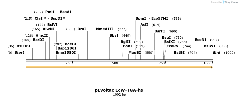 426646_map