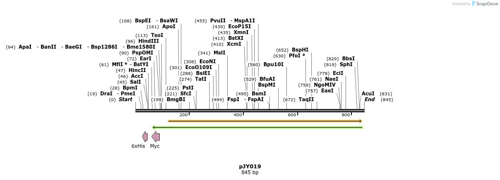 42669_map