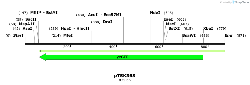 42671_map