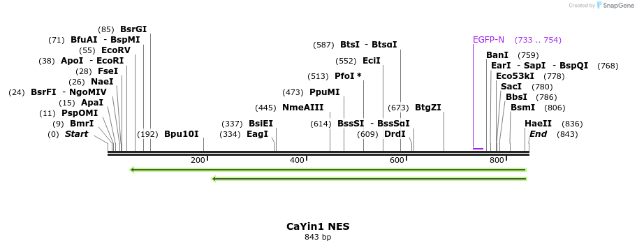 42675_map