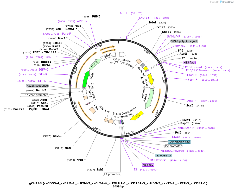 426760_map