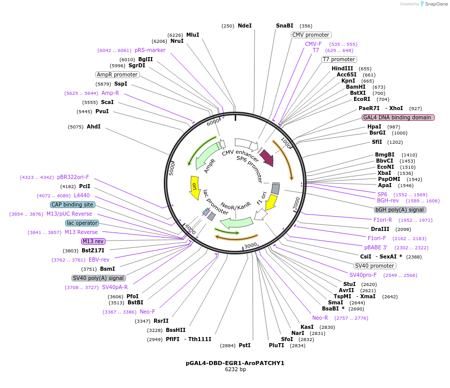 426902_map