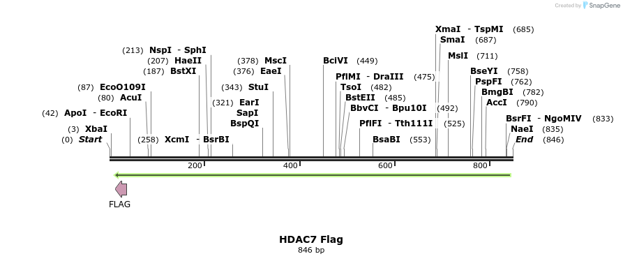 42699_map