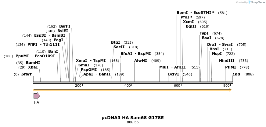 42701_map