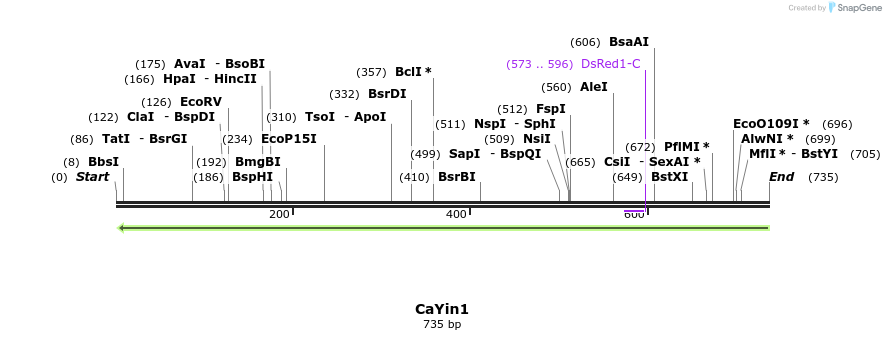 42702_map