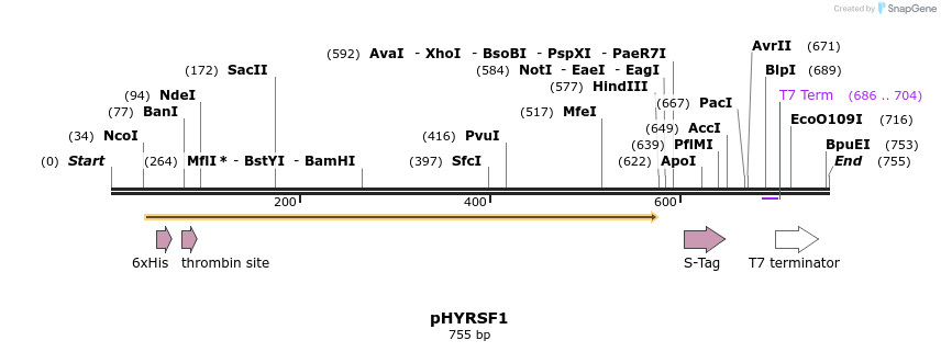 42705_map