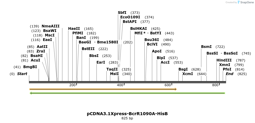 42707_map