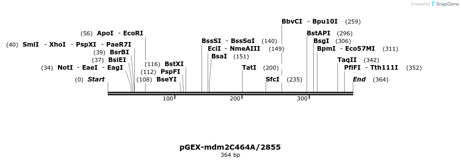 42709_map