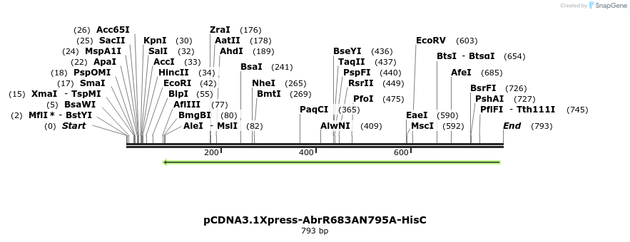 42711_map
