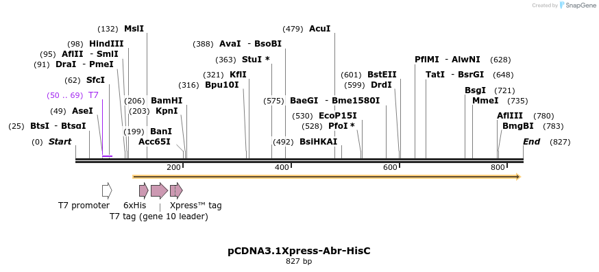 42712_map