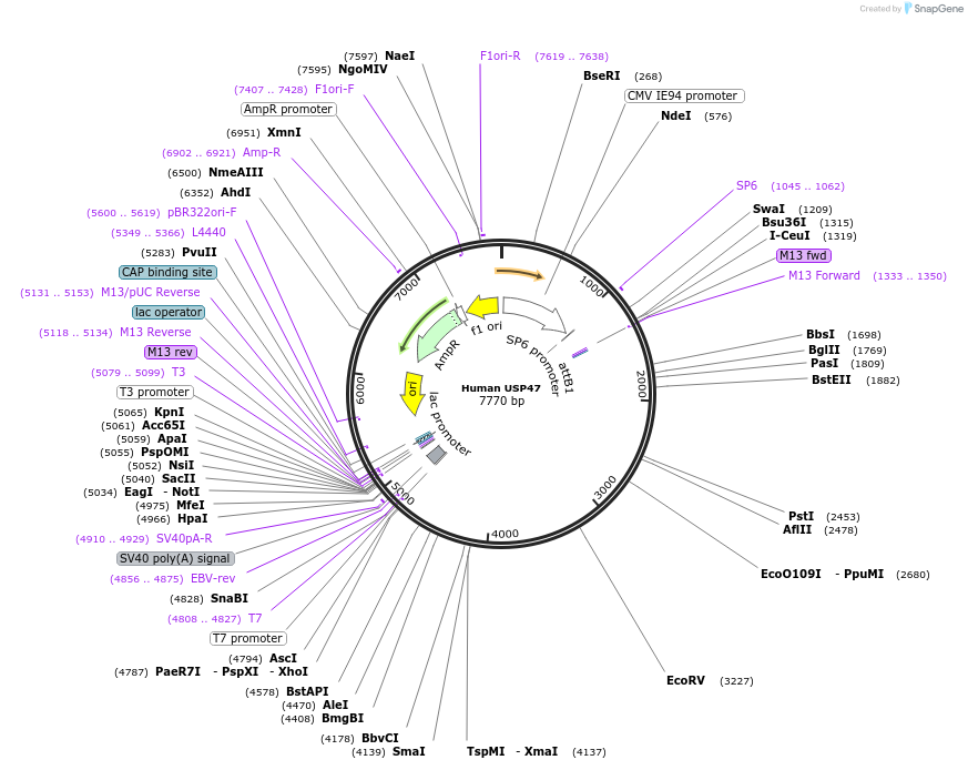 427152_map