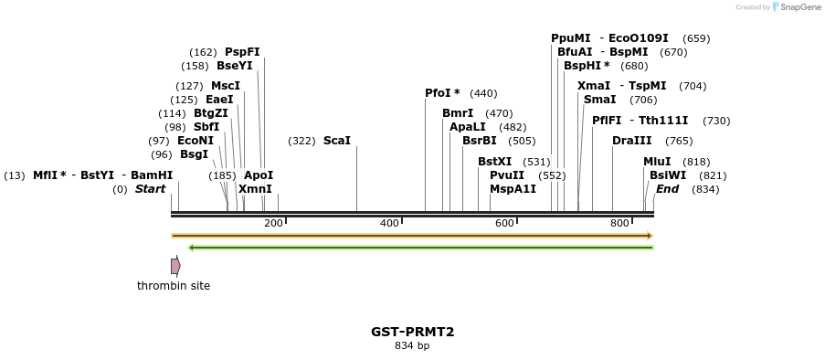 42716_map