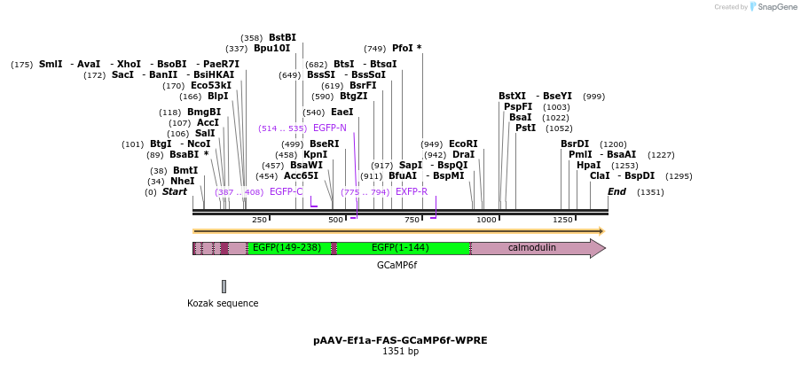 427160_map