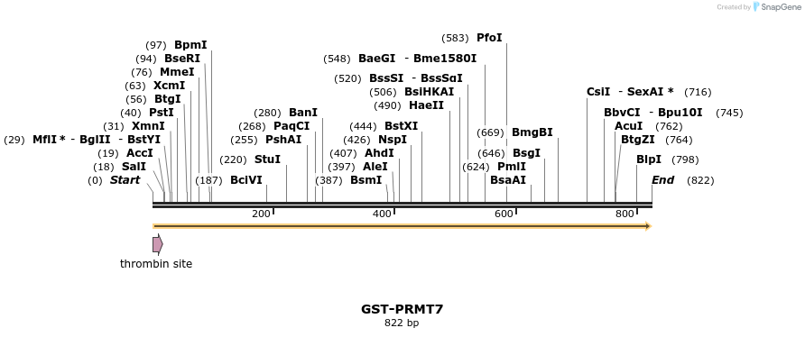 42717_map