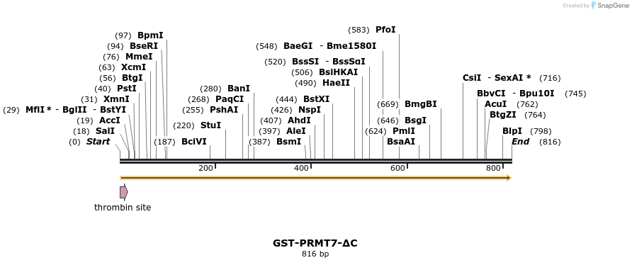 42719_map