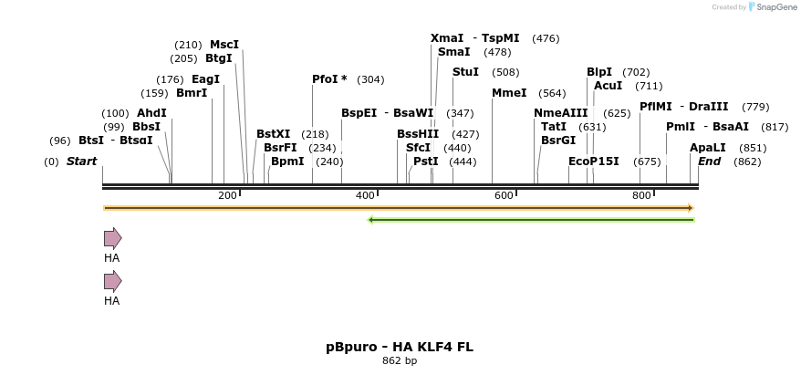 42720_map