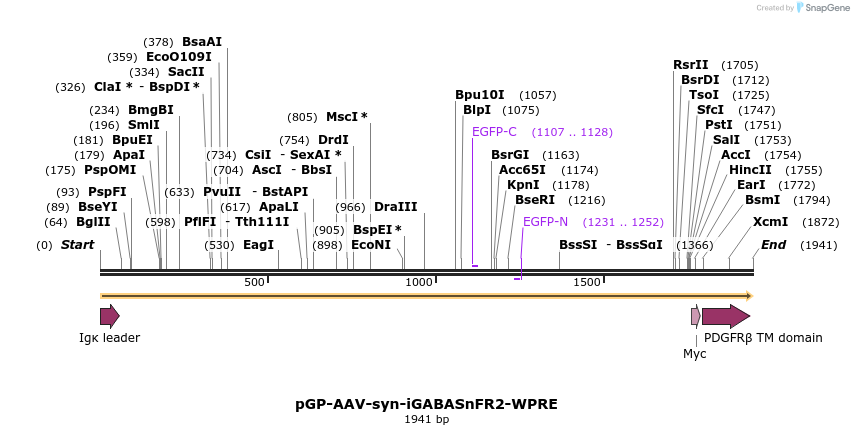 427202_map