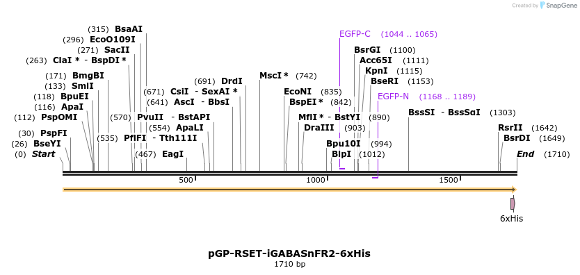 427213_map