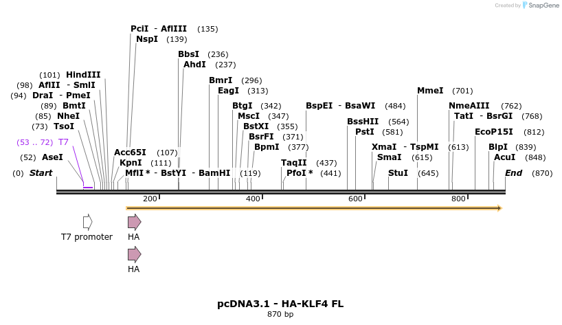 42722_map