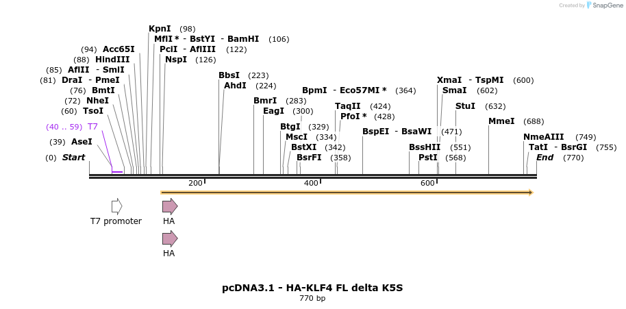 42723_map