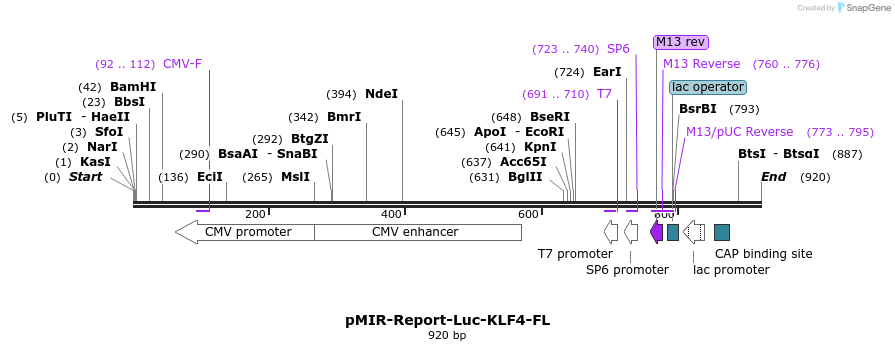 42724_map