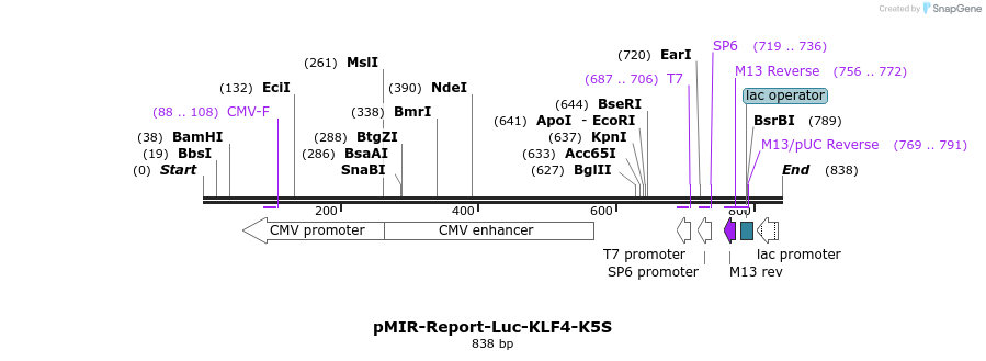 42725_map