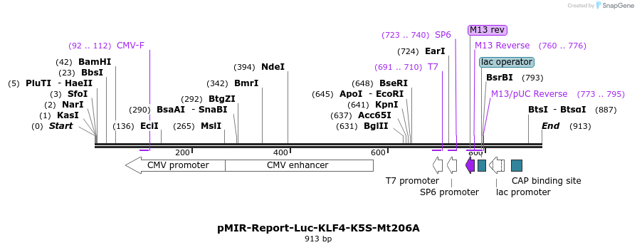 42726_map