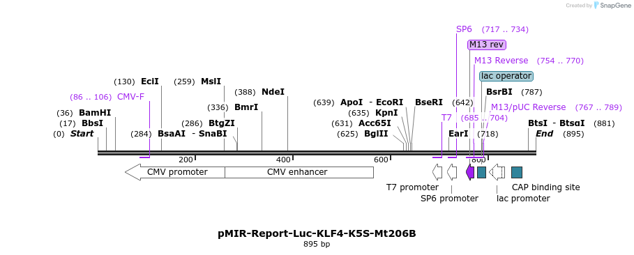 42727_map