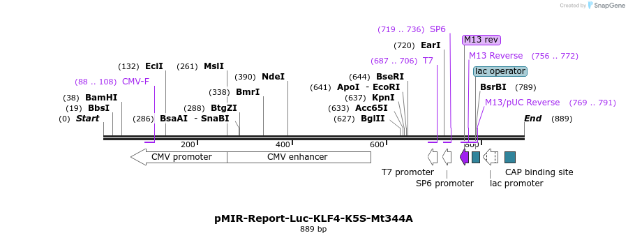 42728_map