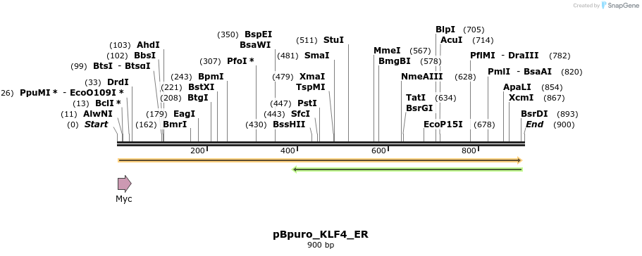 42730_map