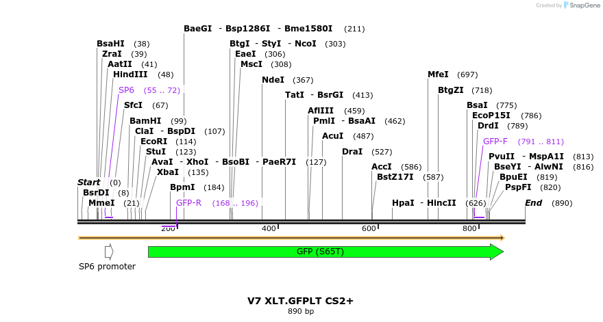 42734_map