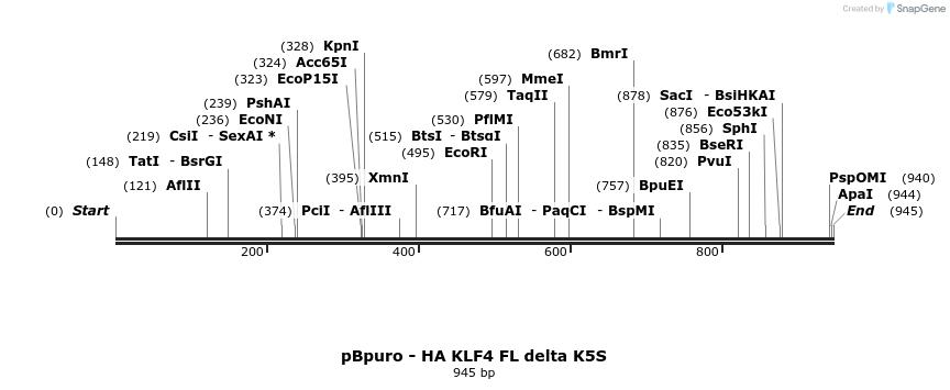 42735_map