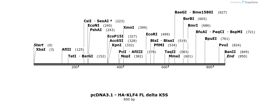42736_map